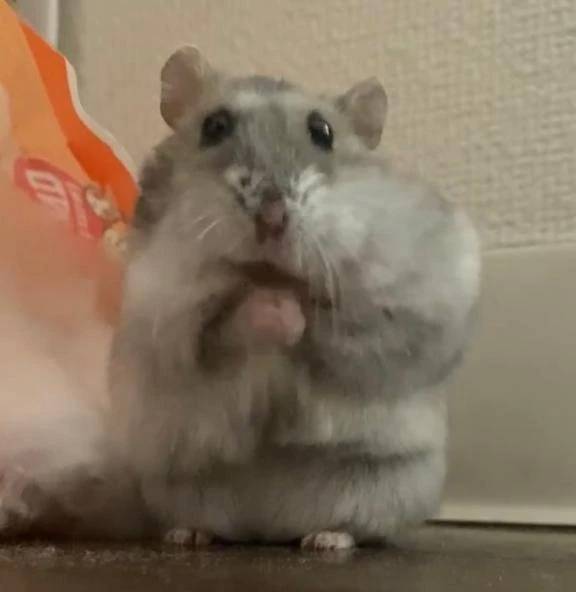 寒さに負けないでね❤️