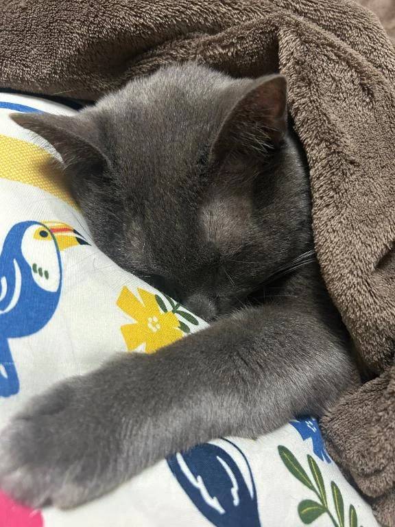 2月前半のシフト