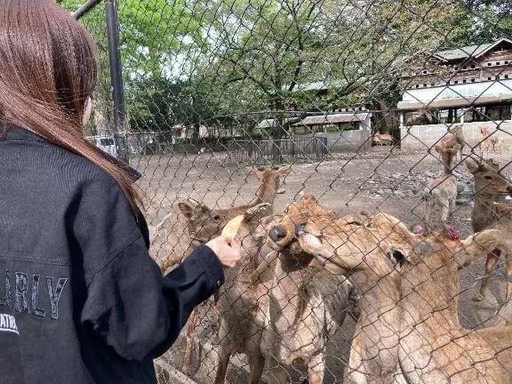 お疲れ様です💜🌙
