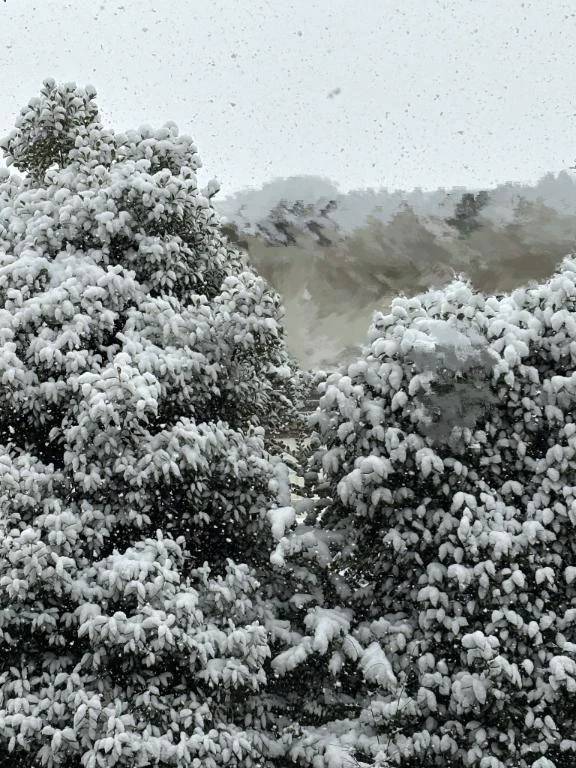 行ってきました🗳️☃️♡