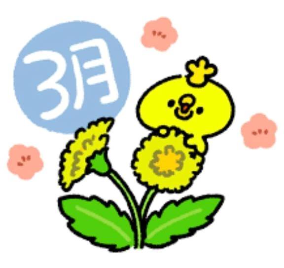 本日の案内です♥️