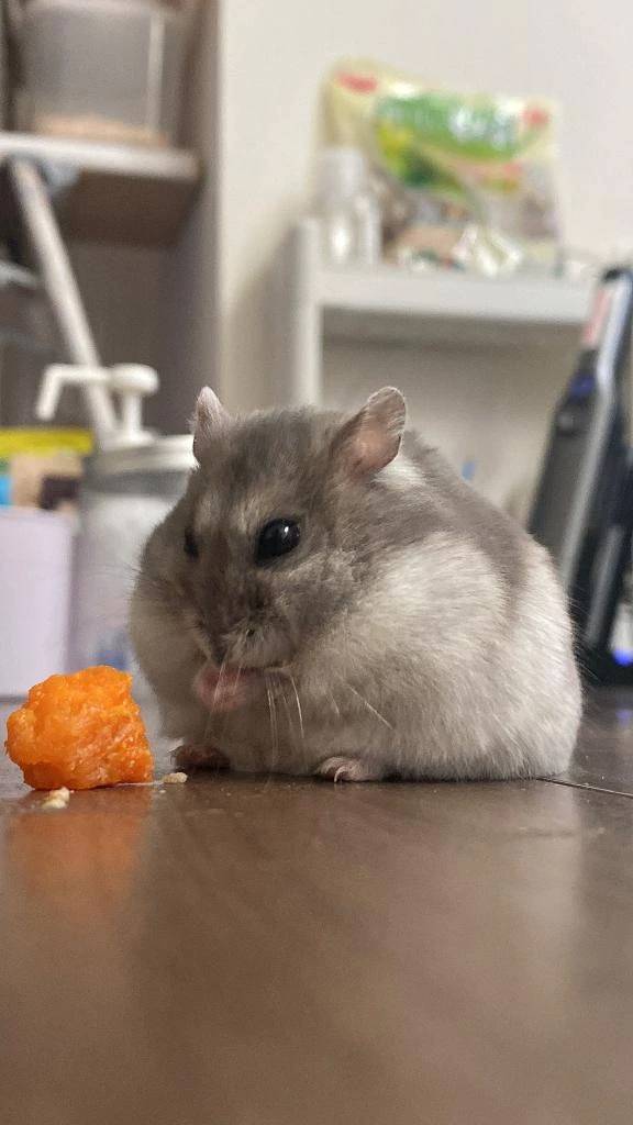 顔や見た目よりも大切？