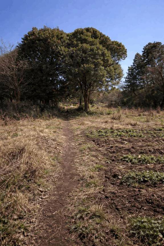 土に触れてリセット🌱