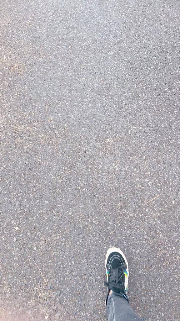 センバツ高校野球！