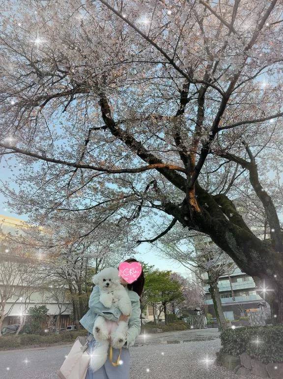 本日も完売&はるちゃんに会いたくなってきた…🫣💖
