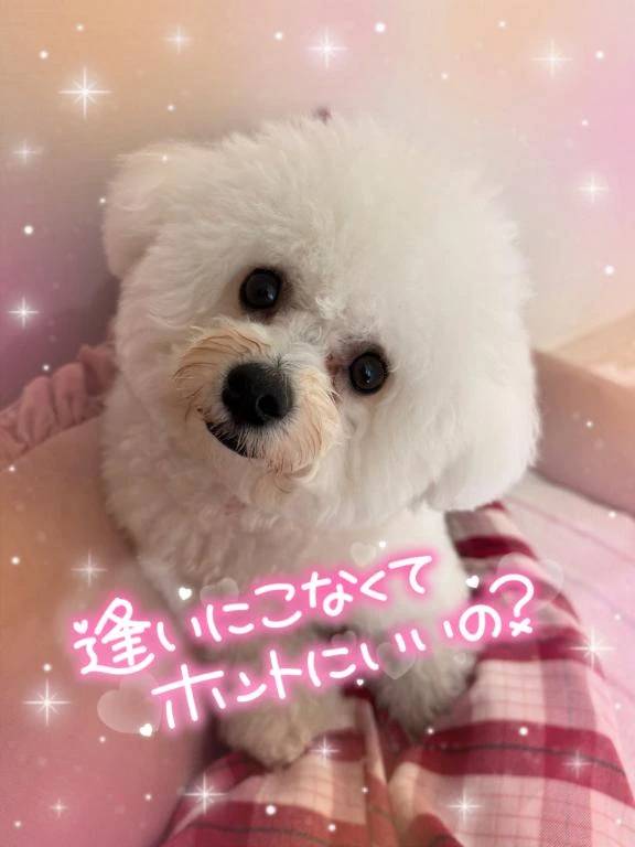 本日ありがとうございました&明日の案内について♥️