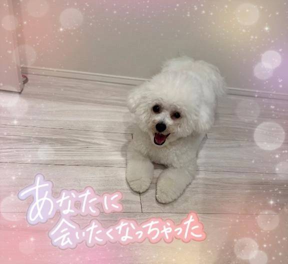残り1枠♥️