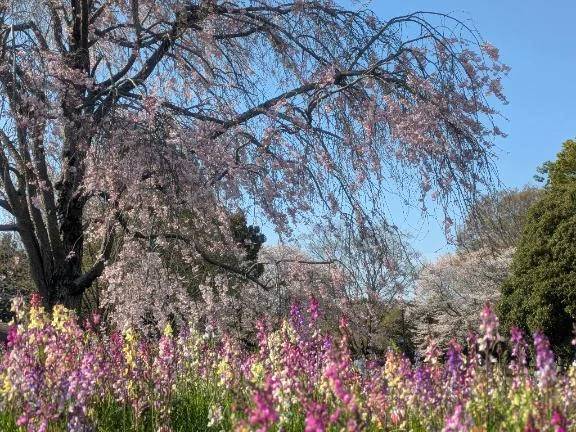 4月最終日🌷