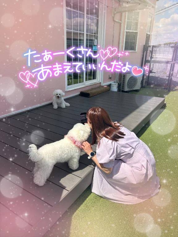 本日のご案内について♥️