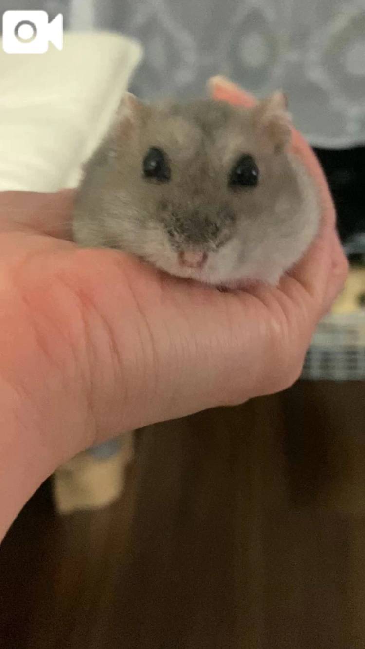 ☺️
