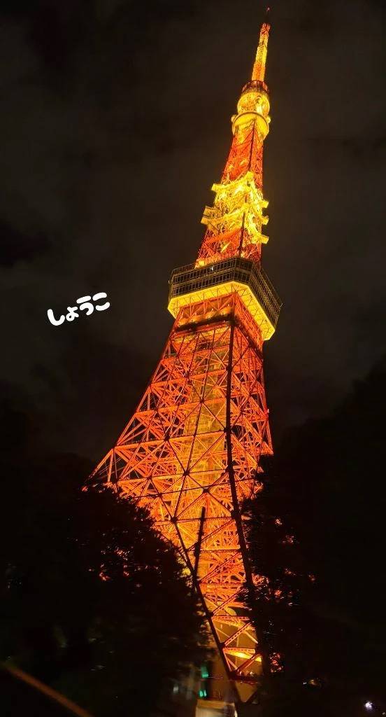 やっぱり