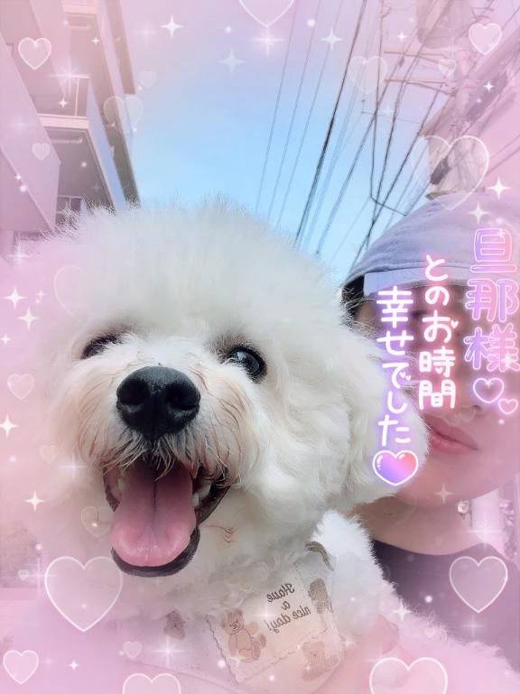 楽しい毎日はこの子🐶のお陰です🙆‍♀️💕