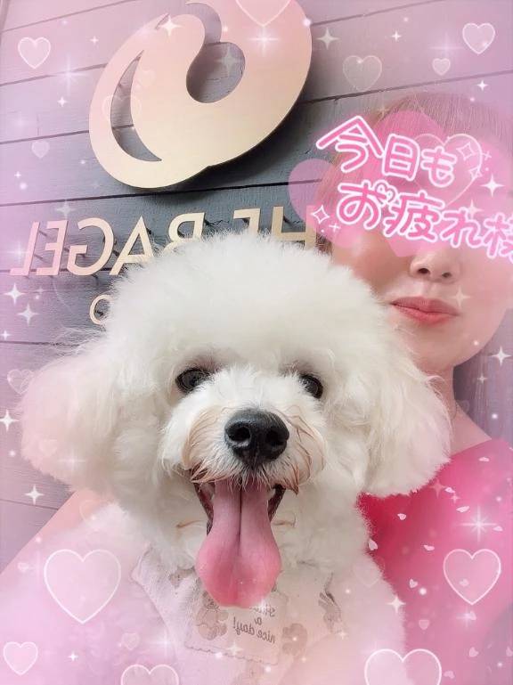はるさんの日常🙋‍♀️💕