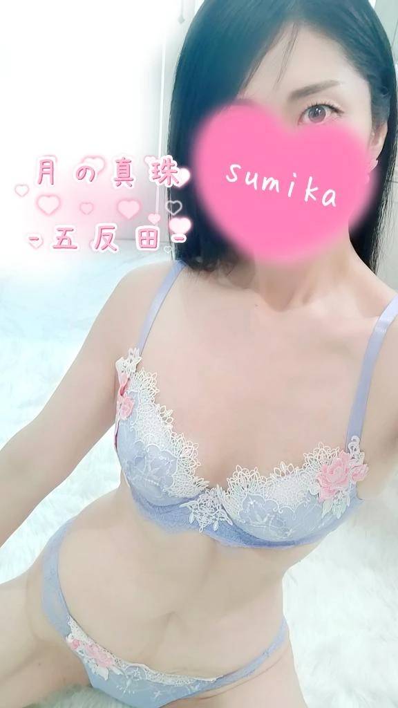 本日🈵枠です✨️