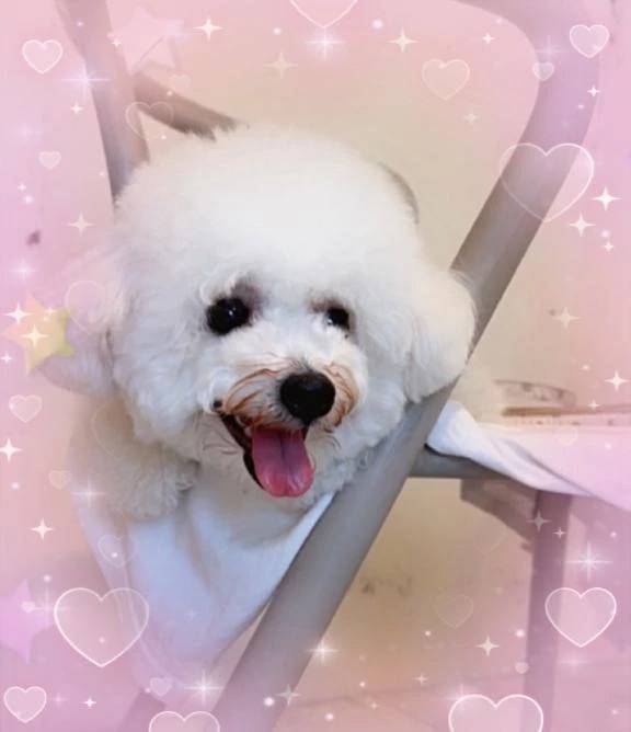 本日から出勤です🙋‍♀️💕