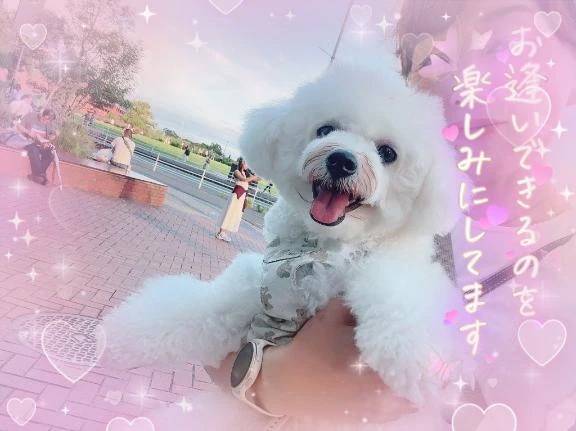 本日も出勤中🙆‍♀️💕