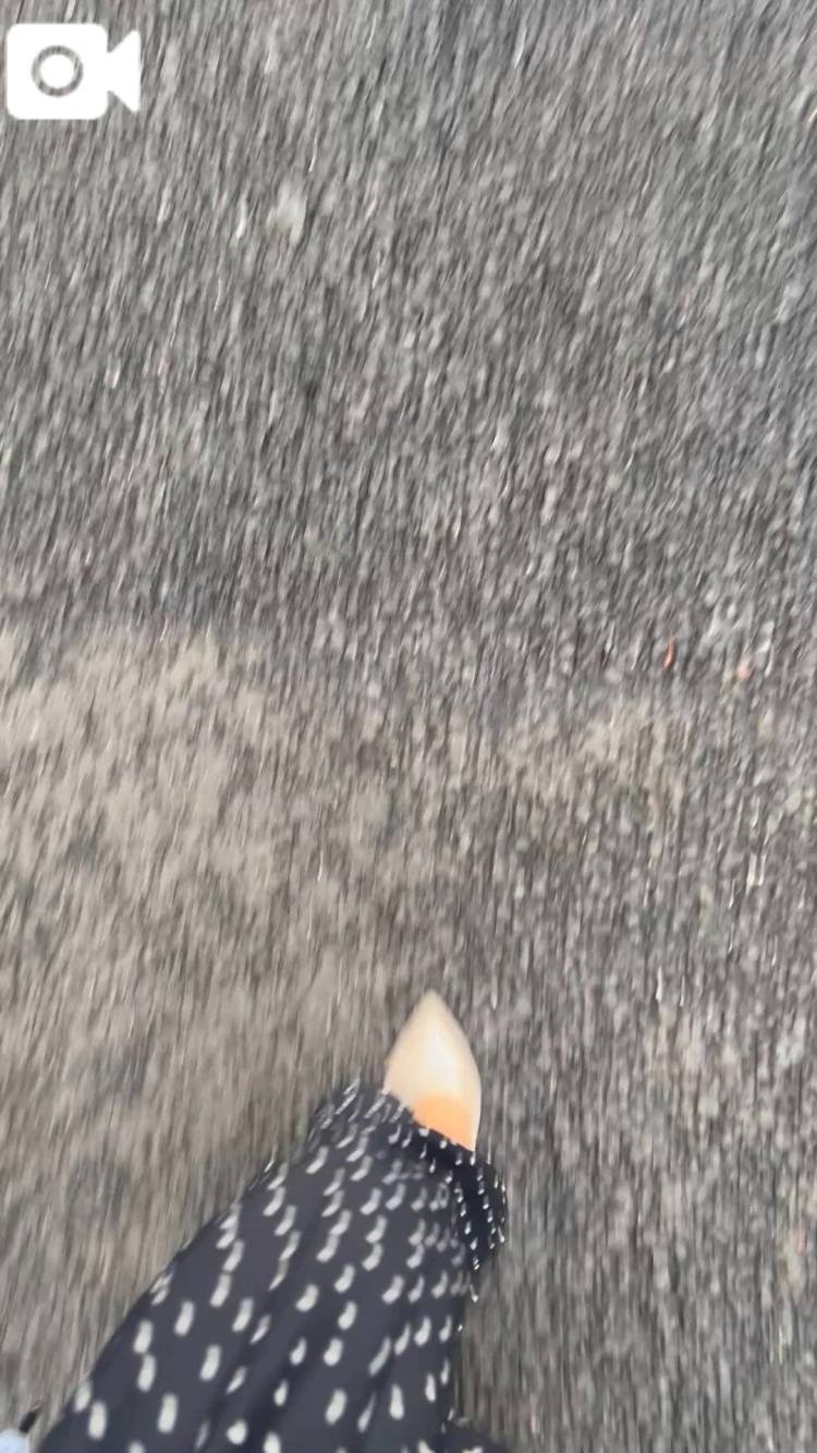 移動中…🌱‬‪