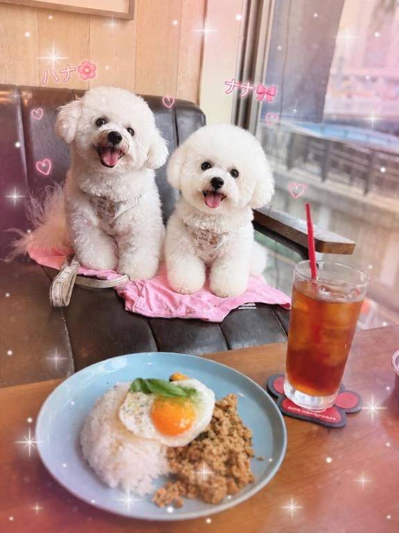 スタートからご予約ありがとうございました😌💕