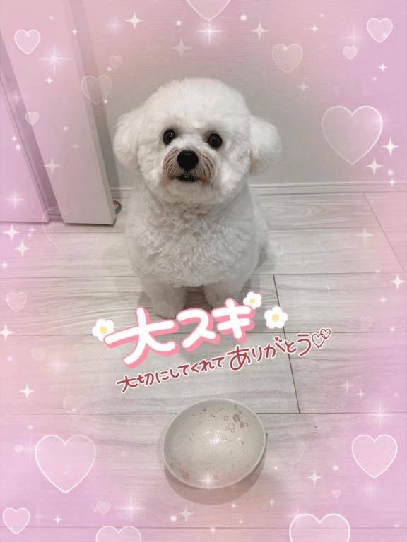 明日のご案内です🙋‍♀️💕