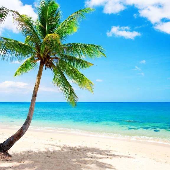本日出勤🌴