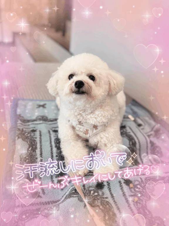 ありがとう×100🫣💖