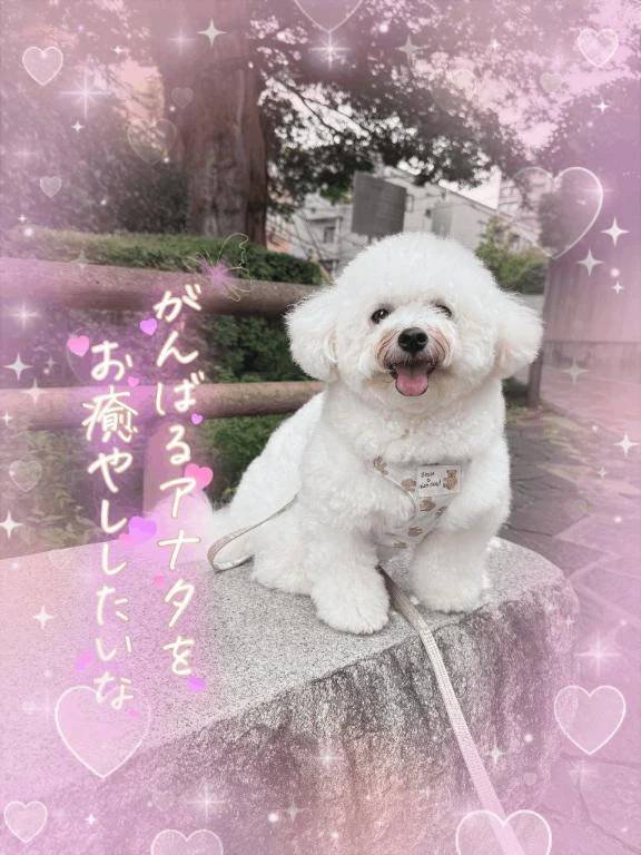 案内😌💕