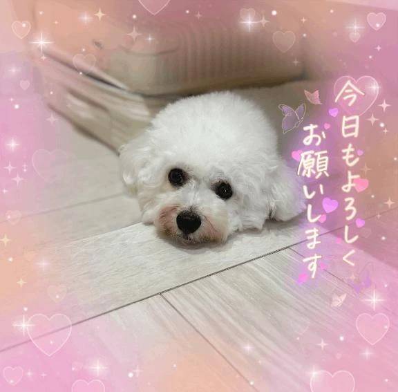 ぷるぷる😌💕