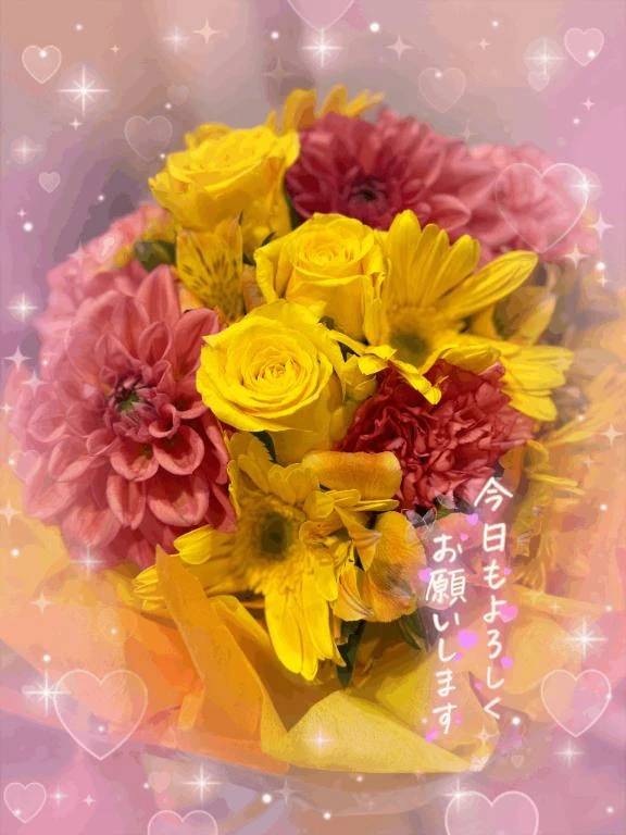 本日の案内は😌💕