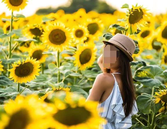 土日出勤します🌻