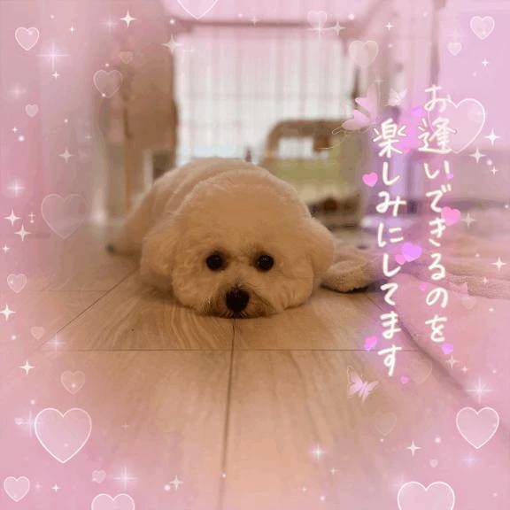 《お礼日記📔》