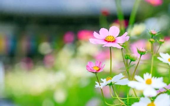 日記の更新…