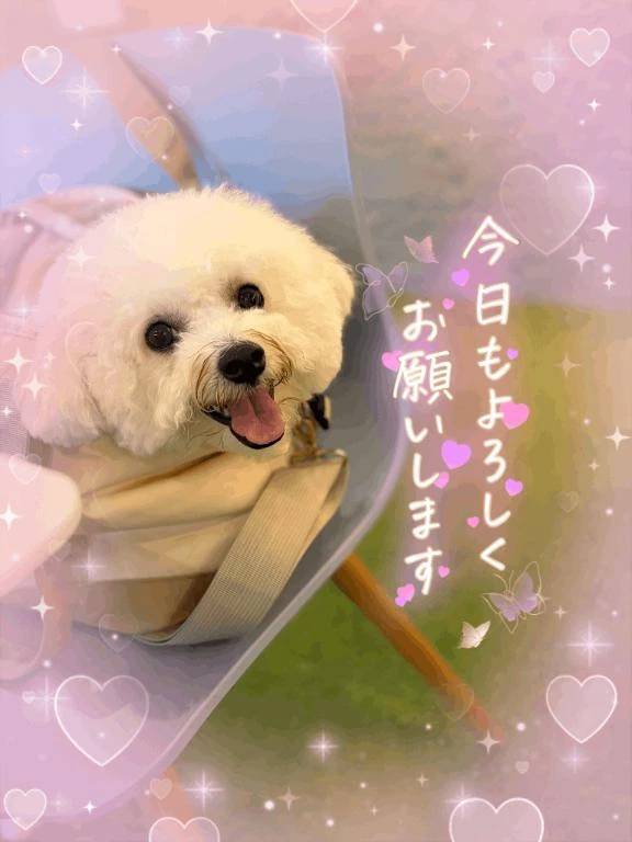 おはようございます😌💕