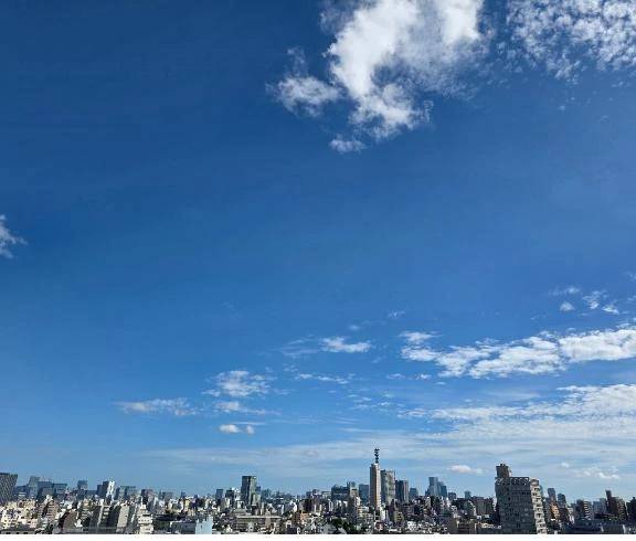 夏空戻ったー🩵