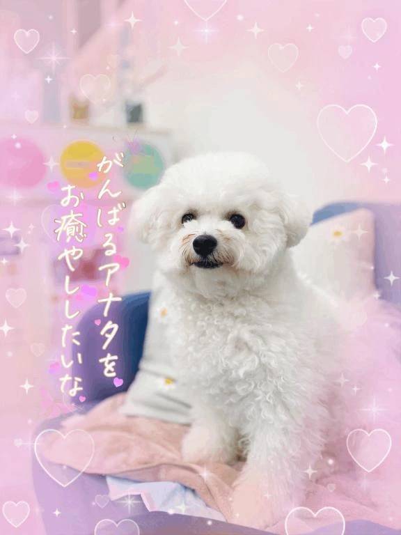 おはようございます😌💕