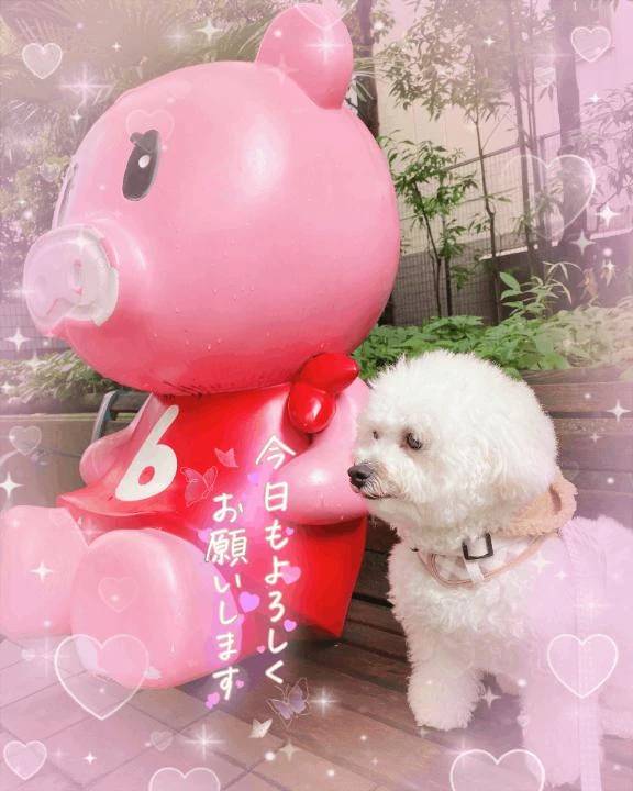 おはようございます😌💕