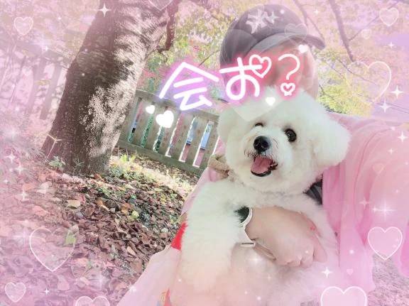 本日分😌💕