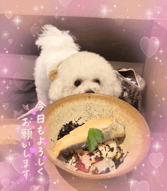 おはようございます😌💕