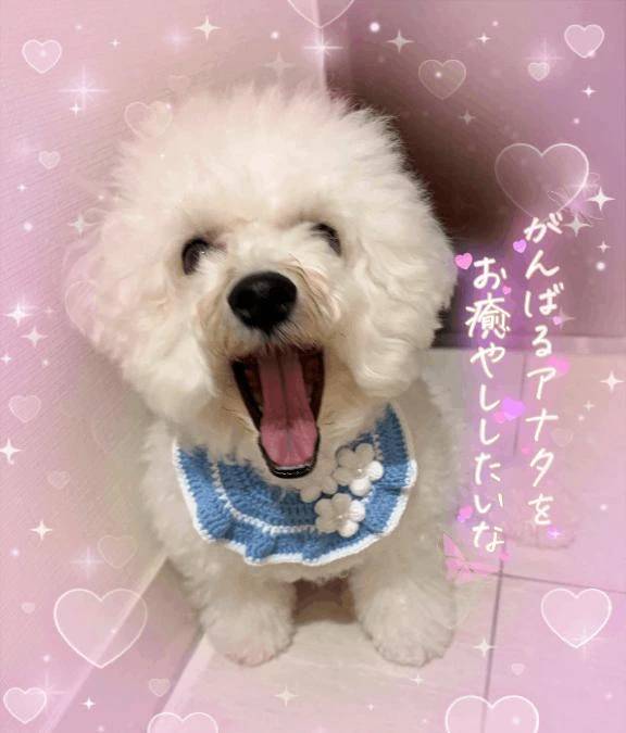 お休みです😌💕