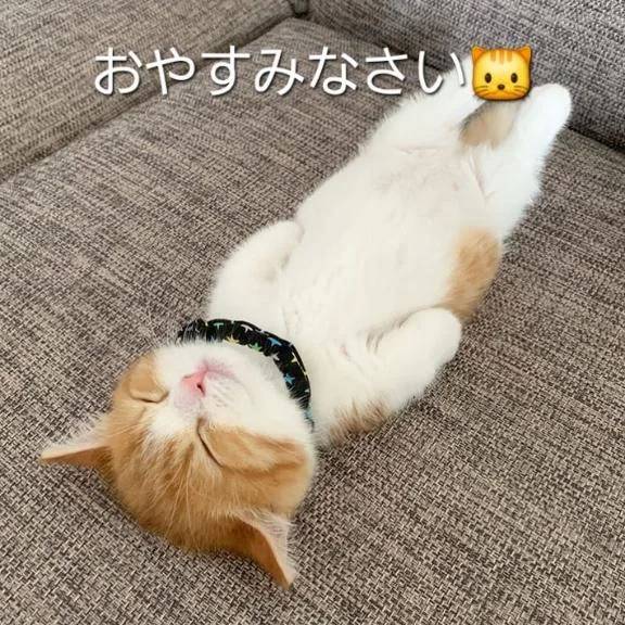 また明日🌙✨