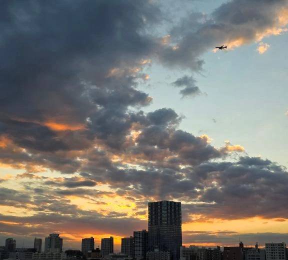 綺麗な夕焼け