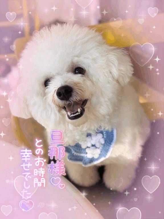 本日分は😌💕