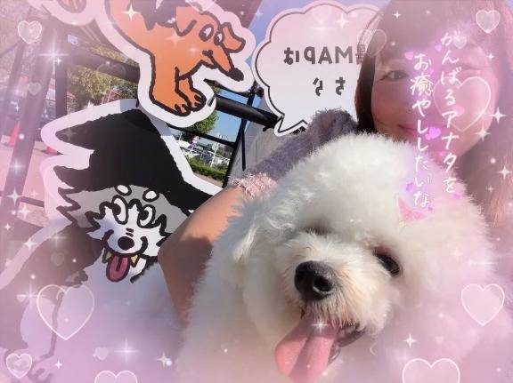 おはようございます😌💕