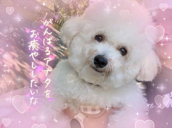 本日分は😌💕