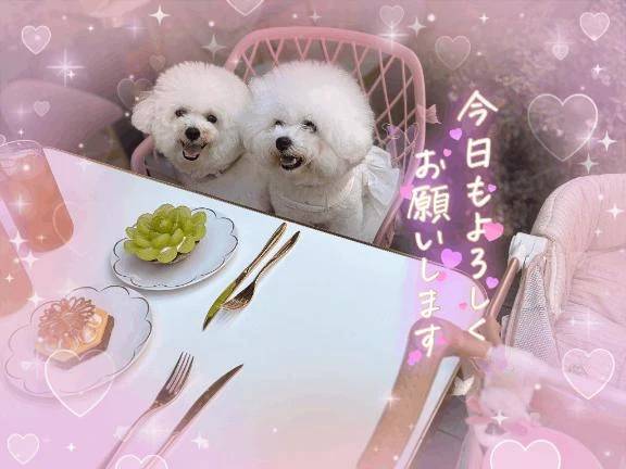 おはようございます😌💕