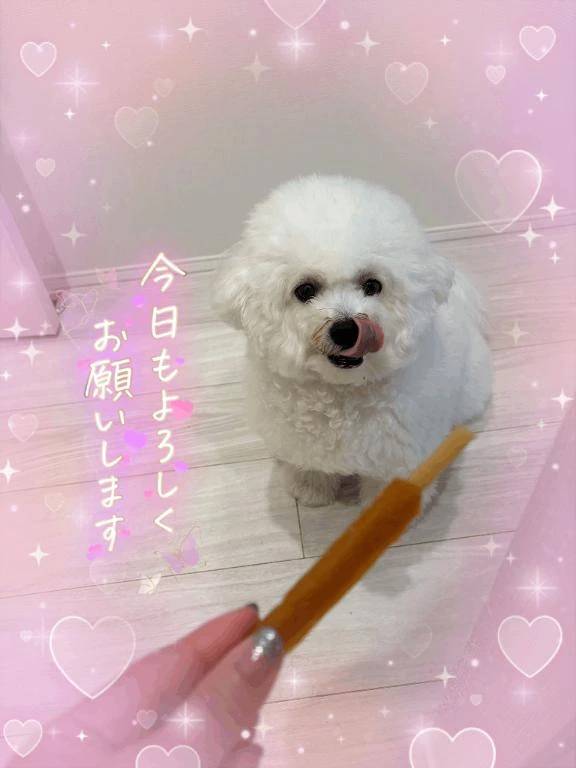 本日分は😌💕