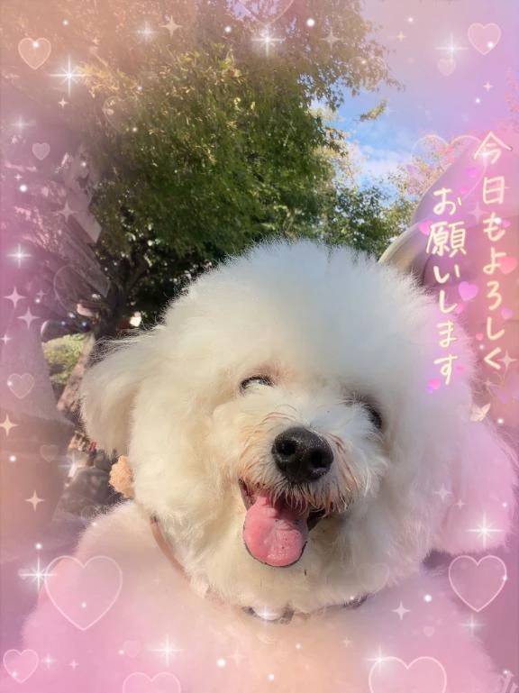 おはようございます😌💕