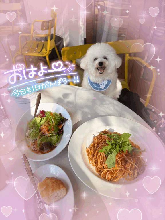 お早目に😌💕