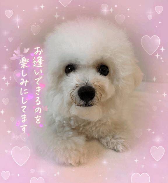 おはようございます😌💕