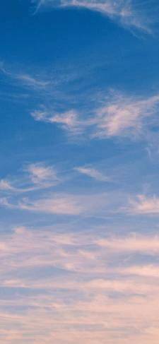 日曜日☀️