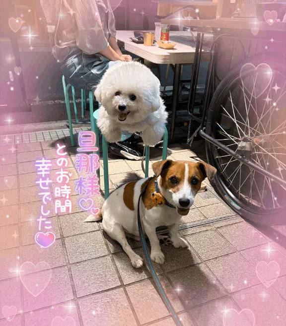 《お礼日記📔》